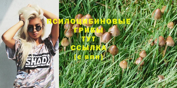 а пвп мука Иннополис