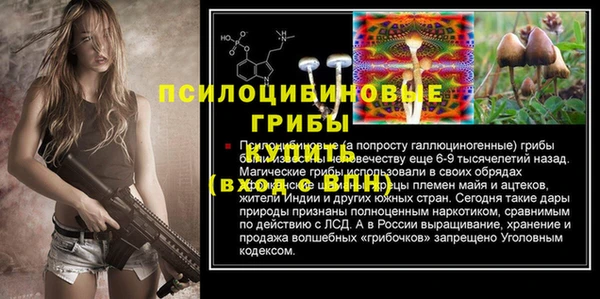 соль ск Инта