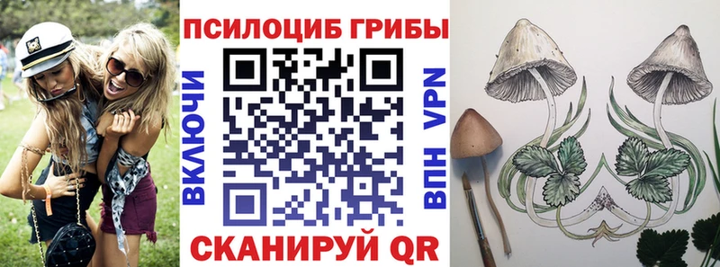 Галлюциногенные грибы Psilocybe  Купить закладки  Верхний Уфалей 